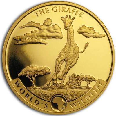 Золотая монета Жираф Конго, Au 31.1, 100 франков