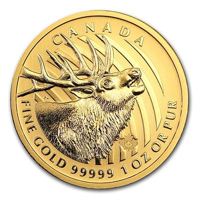 Золотая монета Лось Канада 2019 в блистере. Au 31.1, 200 долларов